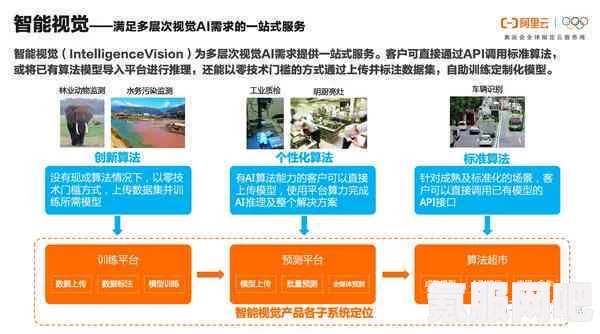 狗Zoom和人类Zoom哪个更适合您的需求？从功能、体验到使用场景全面对比，深入分析各自优缺点与应用场景