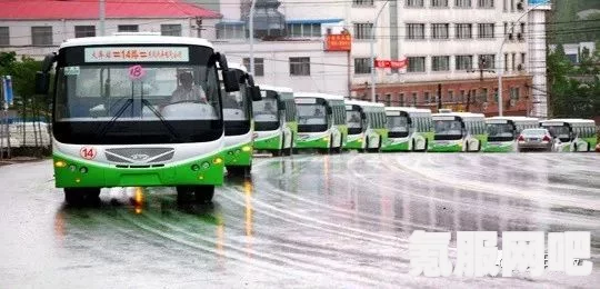 杨大壮和田桂花的公交车：连接城市生活的温暖桥梁，见证人情冷暖与梦想交汇