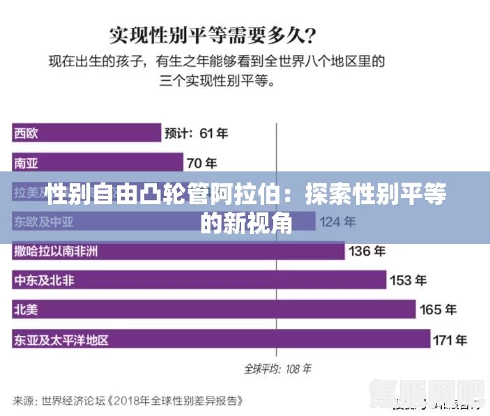 性别自由与凸轮技术在中国社会的融合：如何推动社会文化多样性的发展？探索新兴科技对性别平等的影响与实践