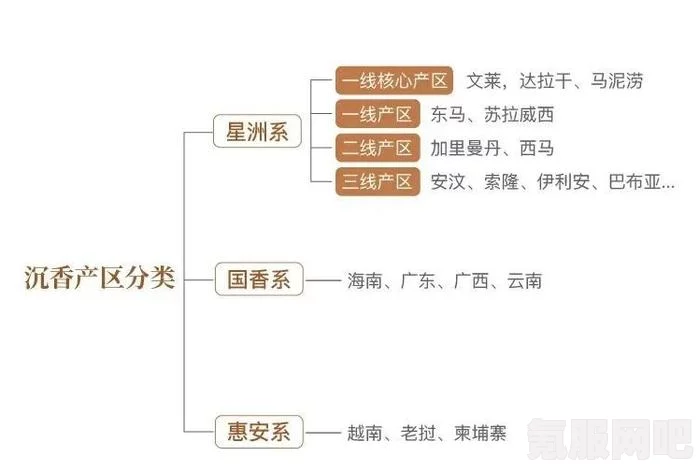 沉香一线产区和二线产区的区别，原材料价值和市场定位解析：深入探讨其经济影响与文化传承