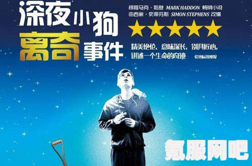 白昼犬影夜之狗,张淑敏之谜:这是怎样一种现象?探寻背后的科学与文化意义_免费高清的优势 白昼犬影夜之狗,张淑敏之谜:这是怎样一种现象?探寻背后的科学与文化意义_免费高清的优势