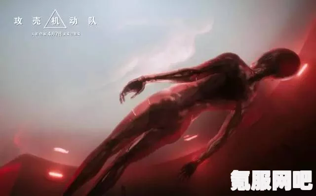 白夜极光，伊沦汀的神秘面纱与独特光灵解析