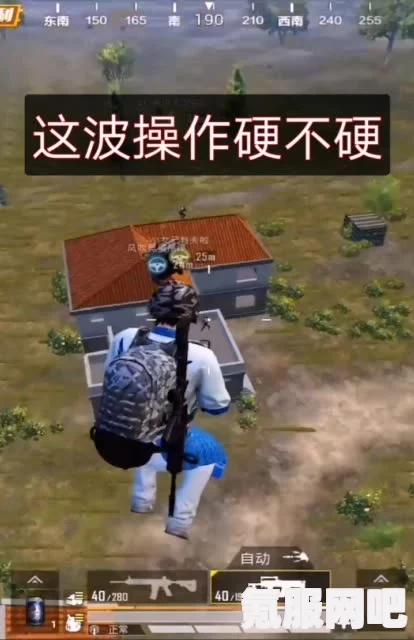 和平精英，雨林猎影深度解析与皮肤价格探讨