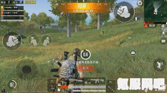 和平精英，雨林猎影深度解析与皮肤价格探讨