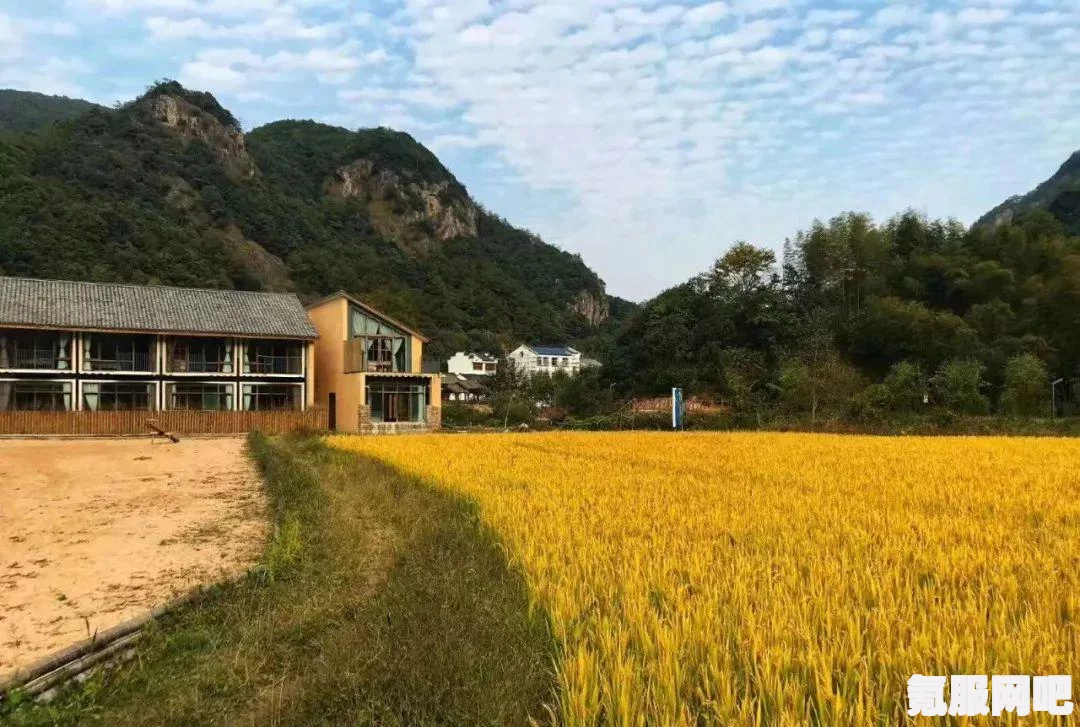 推荐几款永久免费且不收费的社交软件，让你轻松畅享社交生活，连接朋友与家人，分享快乐时刻_观众热议不断