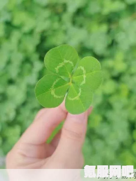 逆水寒手游与眷思量联动的具体时间与介绍