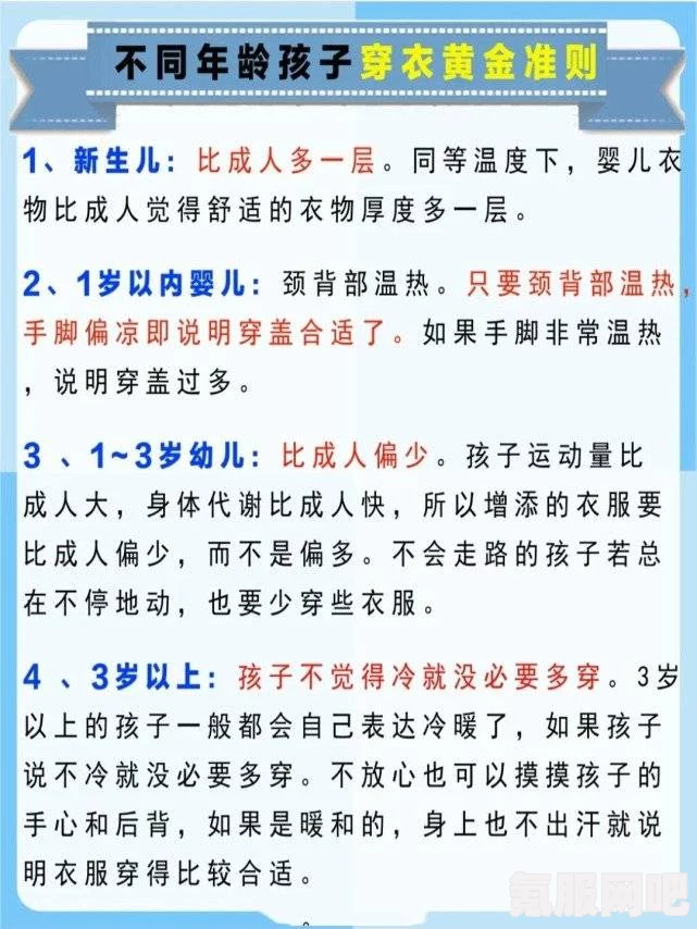 八寸长的大宝贝：多用途实用性与便捷性结合的优质生活选择，满足你日常生活的各种需求与便利_观众热议不断
