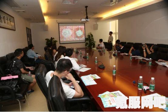 女神异闻录夜幕魅影预抽卡角色攻略，角色推荐与选择指南