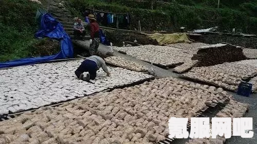 桃源深处有人家铺设水路方法教程