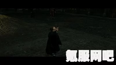 霍格沃茨遗产中的咒语概览