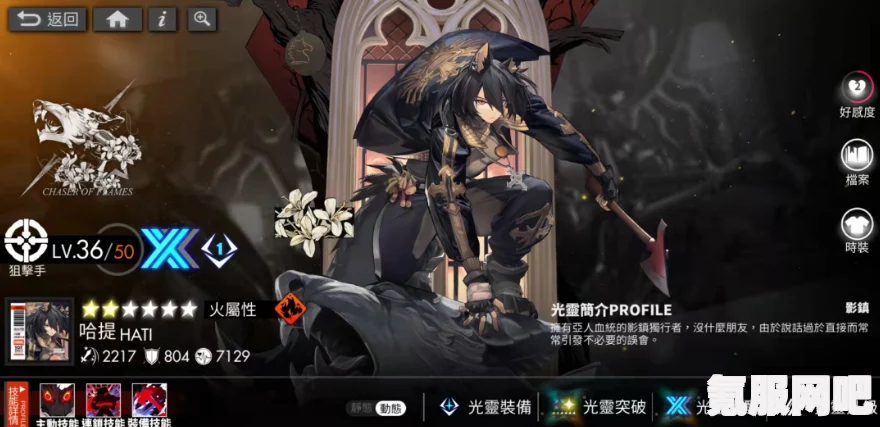 白夜极光哈提的全方位解析