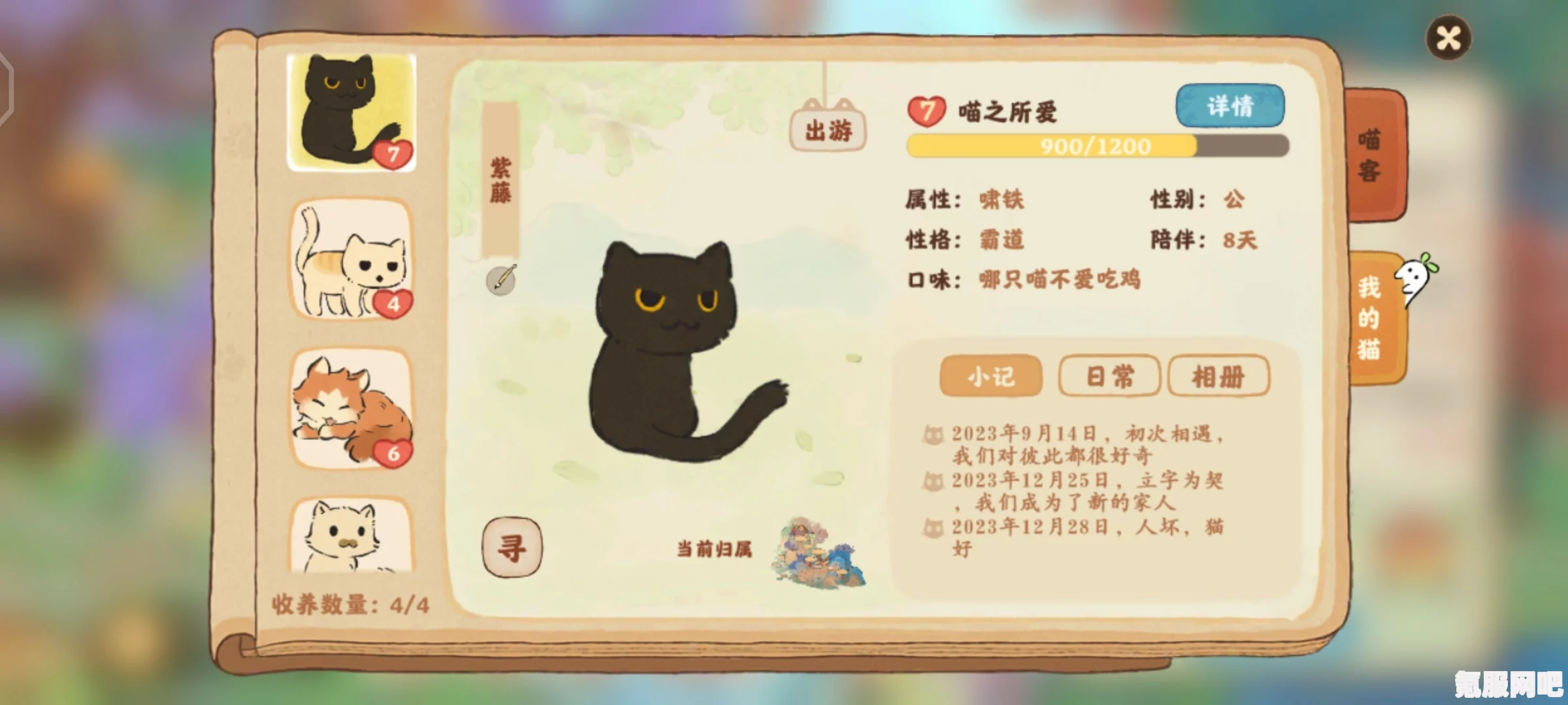 以闪亮之名，漱水游仙礼包的独特魅力与实用解析