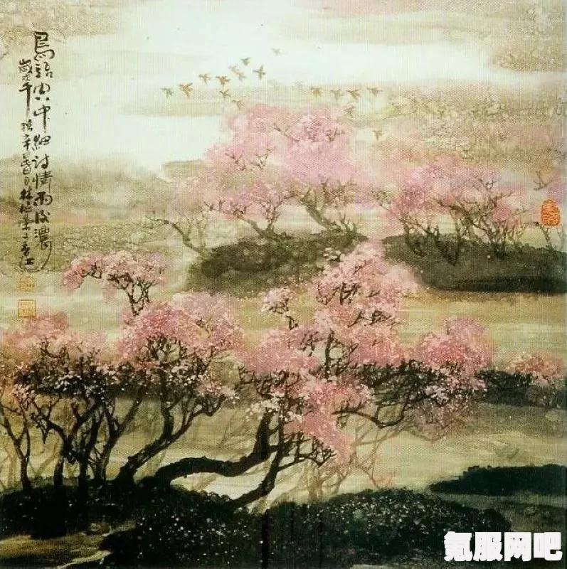 桃源深处有人家，实用布局分享与问答环节