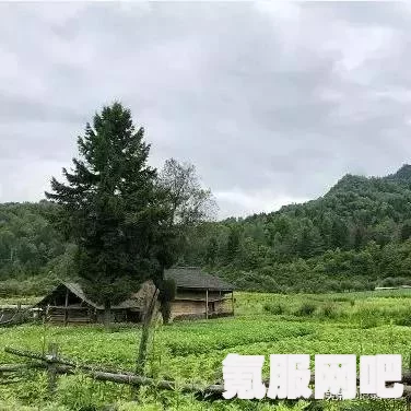 桃源深处有人家，实用布局分享与问答环节