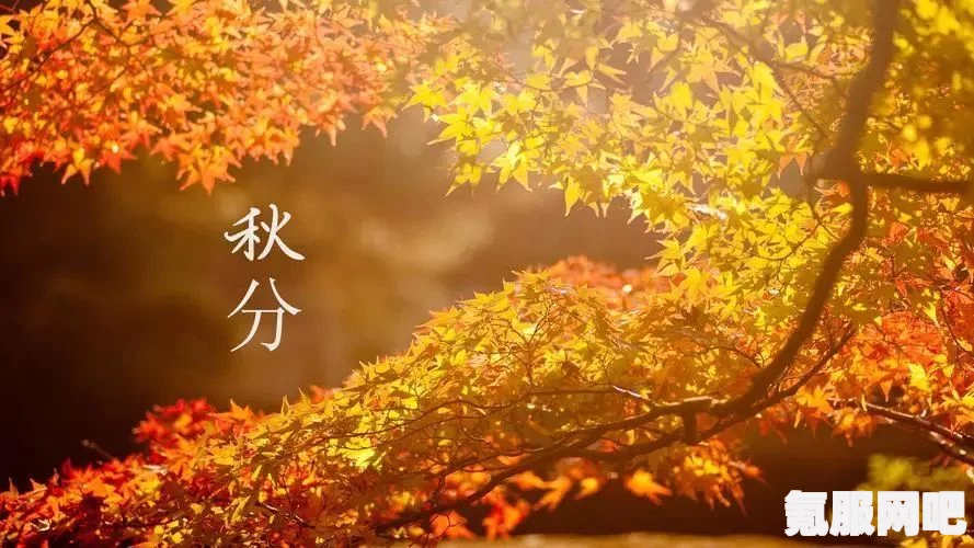 桃源深处有人家，秋色中的秋分节气活动介绍与游玩攻略
