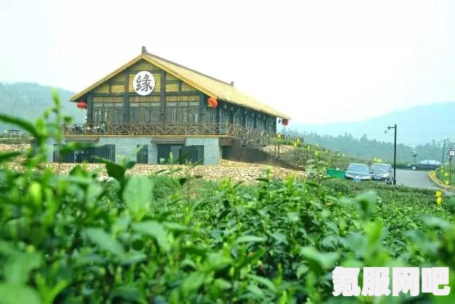 桃源深处有人家，陶心香饮配方大全及其独特魅力