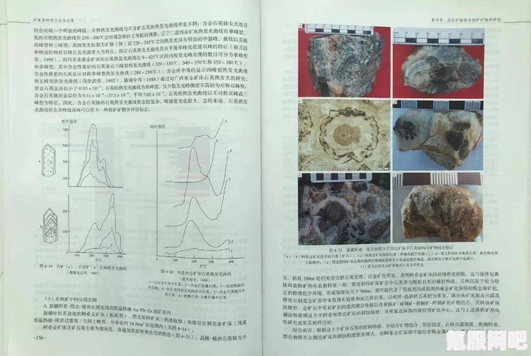 文明6，自然学家的应用指南与策略探讨
