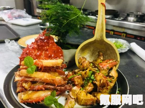 桃源深处有人家，布局活动与规划介绍