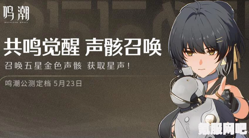 鸣潮长离培养攻略及声骸武器阵容推荐