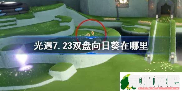 光遇7.26双盘向日葵位置详解及代币寻找攻略