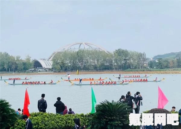 第五人格夏日水上运动会全面解析与实战指南