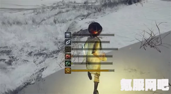 艾尔登法环猴戏玩法攻略与分享
