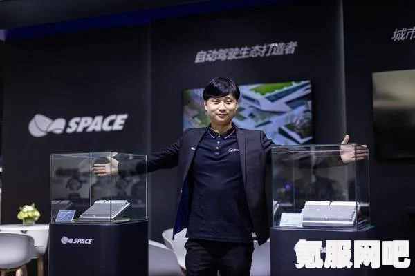 莱莎动画化的奇幻之旅，揭秘其背后的故事与魅力