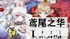 以闪亮之名，霁梦花吻活动深度解析与体验反馈