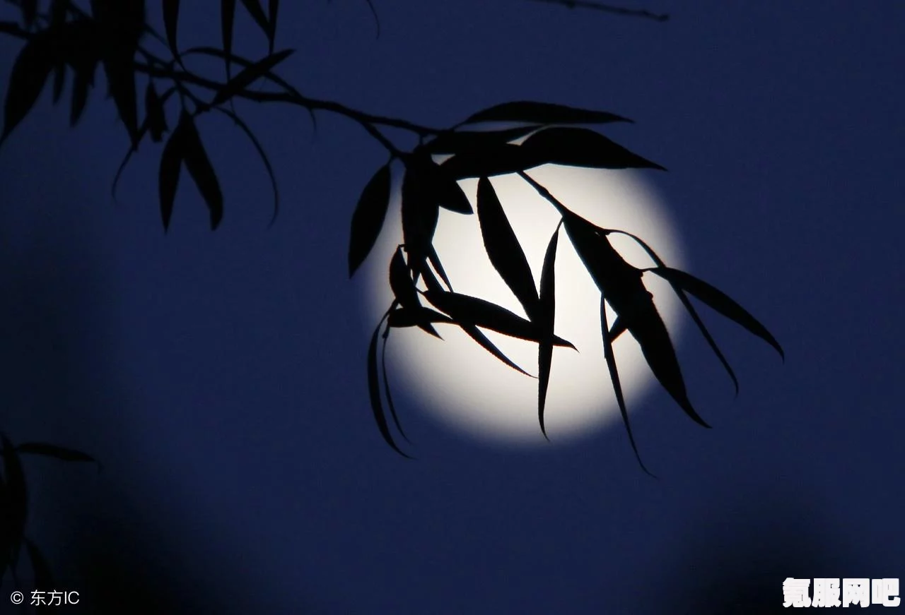 波与月夜之青莲，一修大师修改器的下载指南