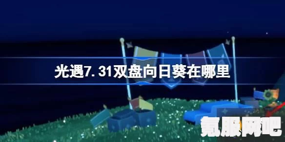 光遇7.22双盘向日葵位置详解及有友节代币收集攻略