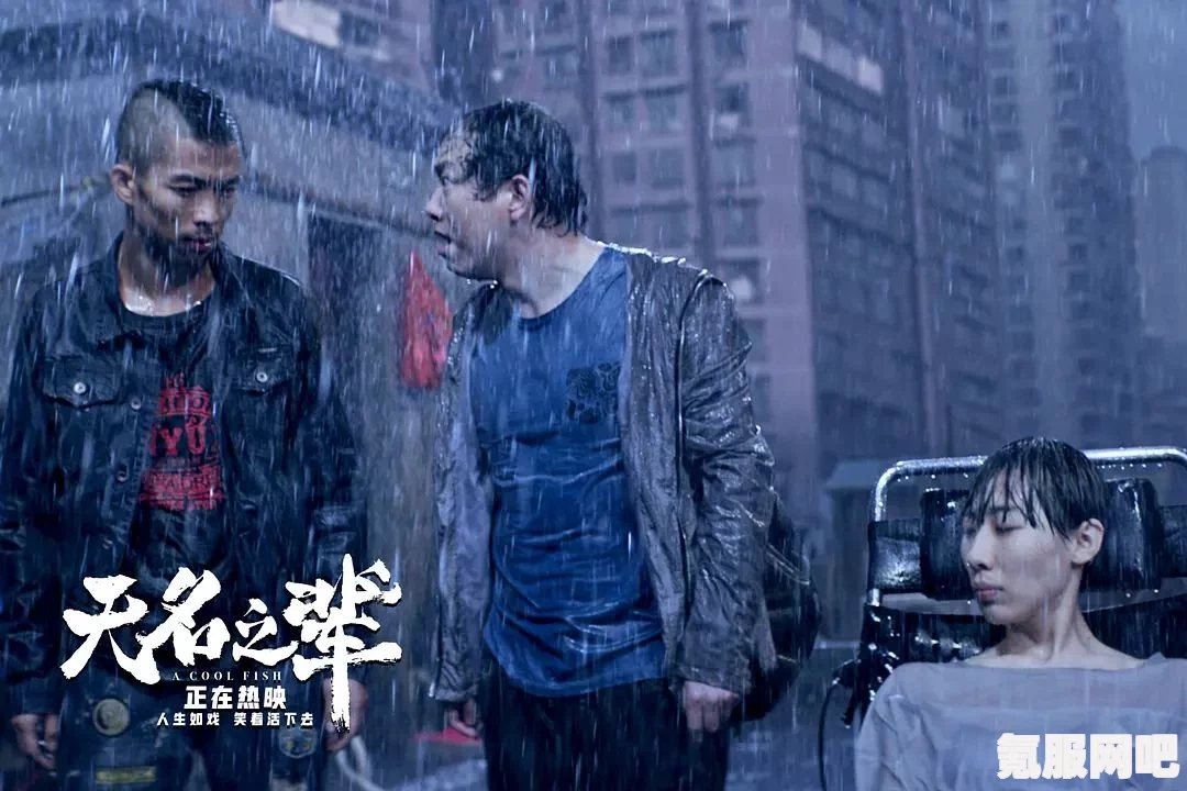 归路，探寻电视剧观看的最佳途径
