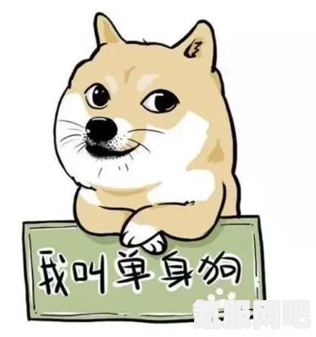 情人节单身狗的独特感受，2022年的心声与体验