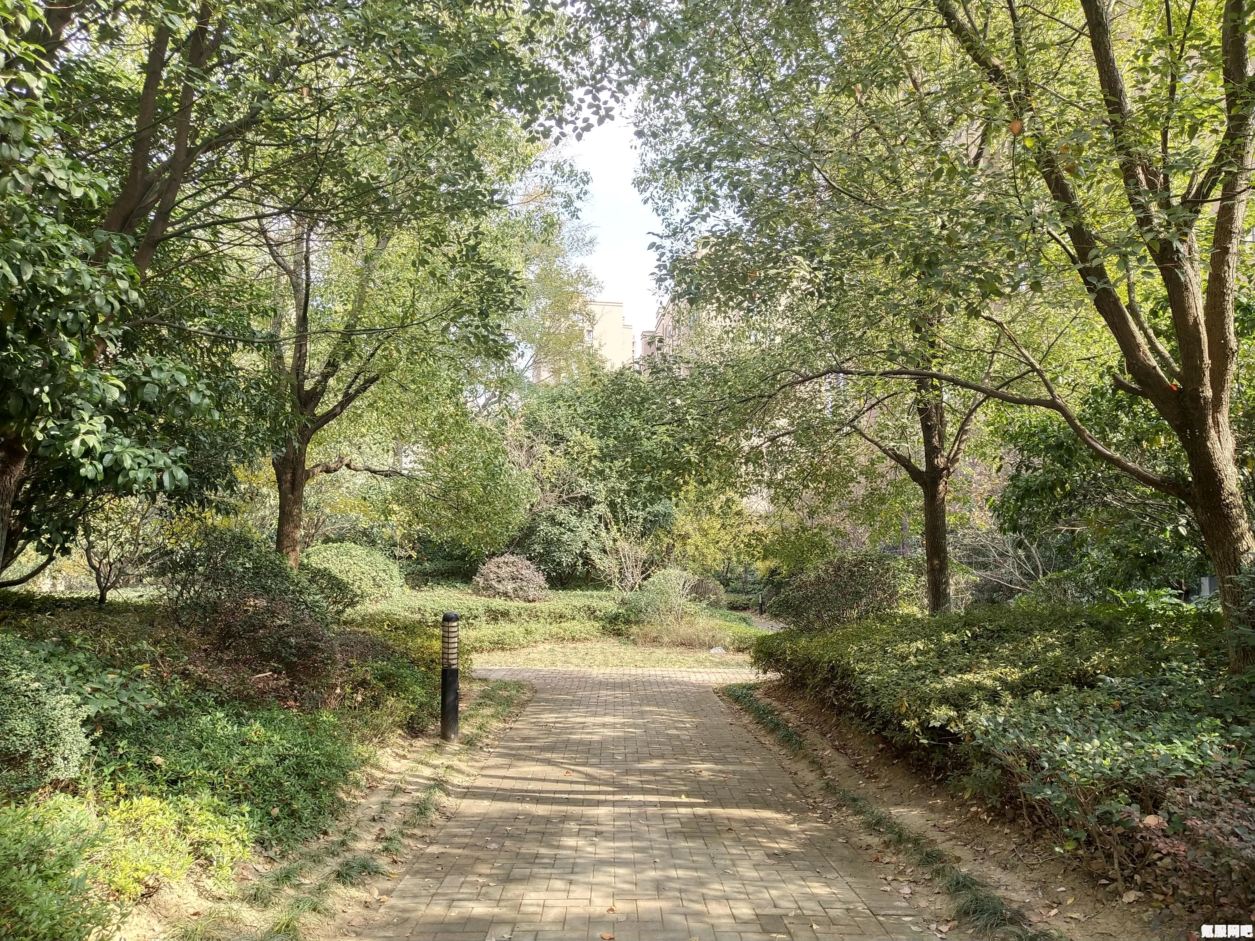 心动小镇入住指南，玩转小镇的攻略与玩法