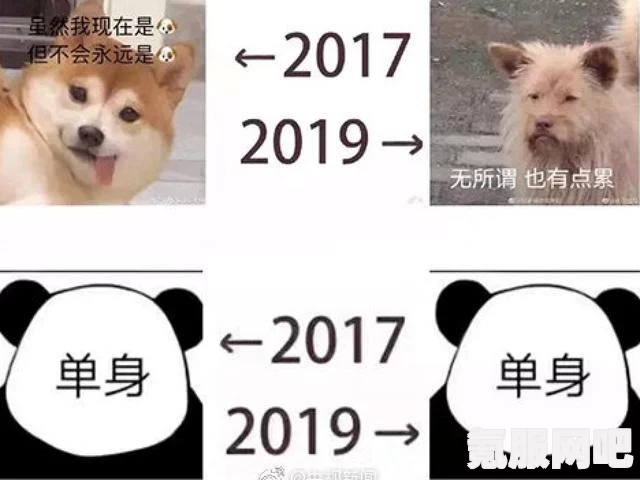 情人节单身表情包一览，欢乐、自嘲与自我疗愈的符号集合