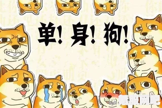 情人节单身狗怎么过？分享度过方法