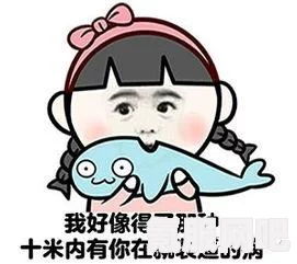情人节单身幽默说说分享，笑对孤独，拥抱自我