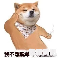 情人节单身狗的独特朋友圈文案集锦，独特视角展现单身魅力