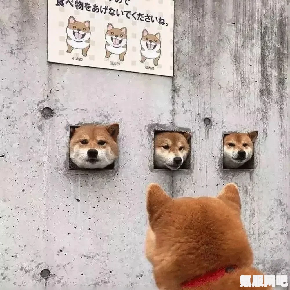 情人节单身狗的独特朋友圈文案一览