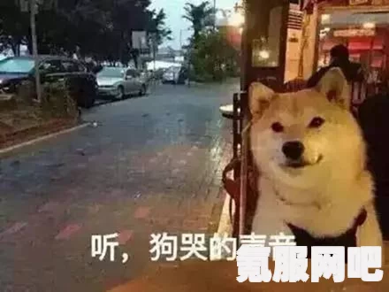 情人节单身狗的独特朋友圈文案一览