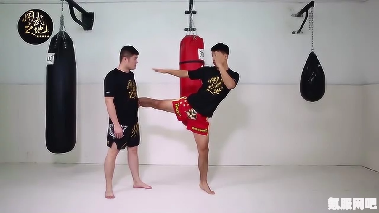 PC端师父嘲讽招式与扫腿掌击按键教学详解