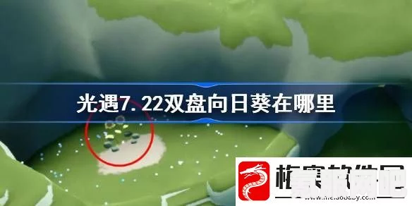光遇7.19双盘向日葵位置及7月19日有友节代币收集攻略