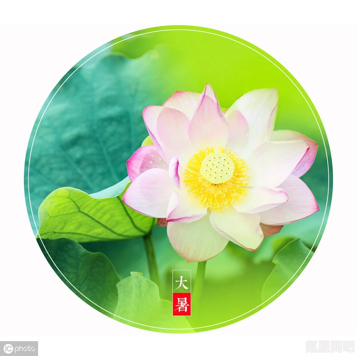 王者荣耀，决战王者之巅的攻略与夏日版本活动揭秘