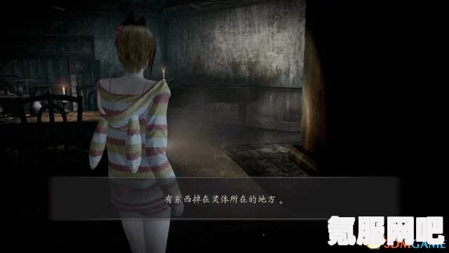 零月蚀的假面重制版，终之蚀零域攻略与问答环节