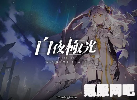 白夜极光国际服中文设置指南