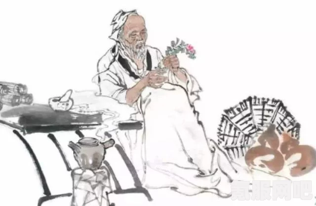三国志战棋版华佗强度解析