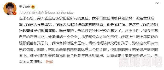 揭秘李靓蕾声明背后的真相，深度解读与问答环节