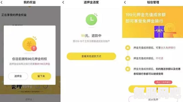 知乎遭遇大裁员事件深度解析