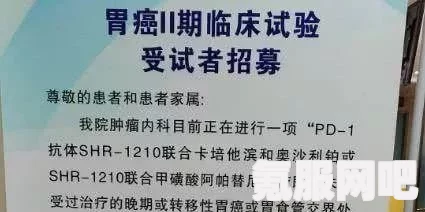 新月同行橙级测试招募信息及参与指南