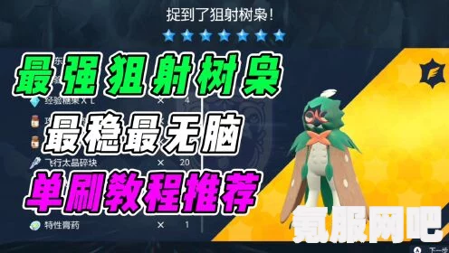 宝可梦朱紫最强狙射树枭攻略，高效打法与策略
