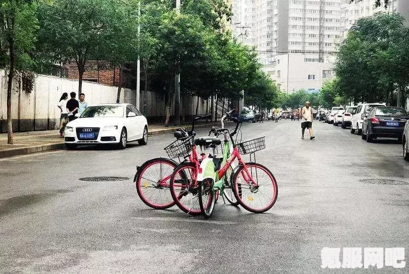 揭秘厨房密码与火车鸣笛背后的故事问答环节